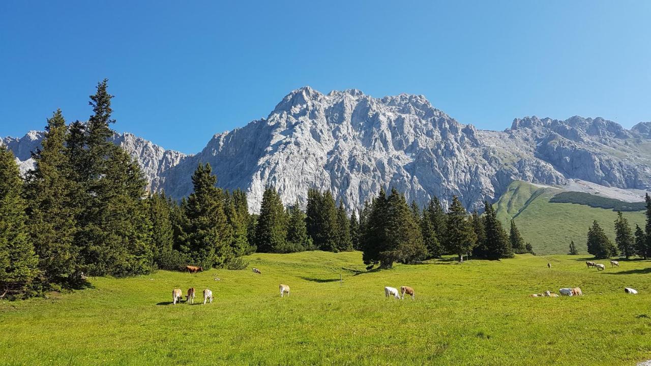 Ferienhaus Villa Alpenpanorama Ohlstadt Zewnętrze zdjęcie